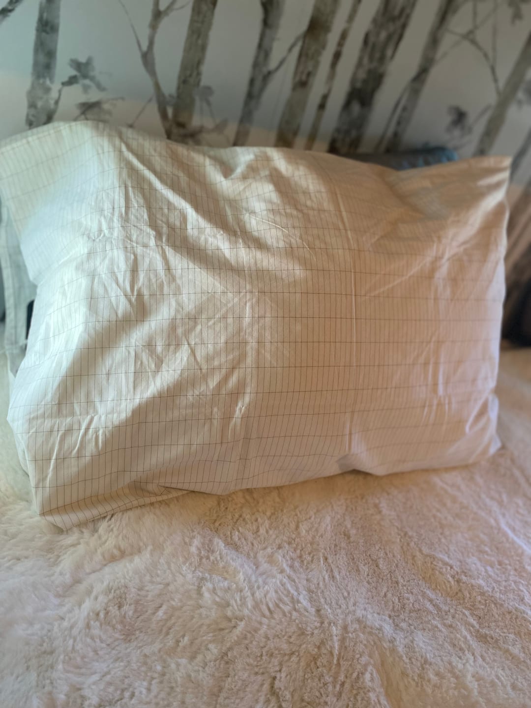 Customer photo review of Terra - Grounding Bed Sheet