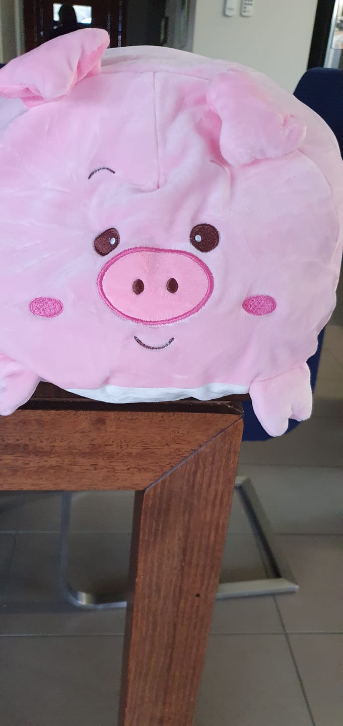 Customer photo review of Animal Pillow Plushie