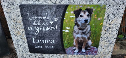 Customer photo review of Hunde Gedenktafel mit Foto & Spruch (UV- &  Wetterfest)