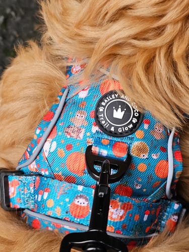 Customer photo review of Trail & Glow® Dog Harness - Woodland Magic