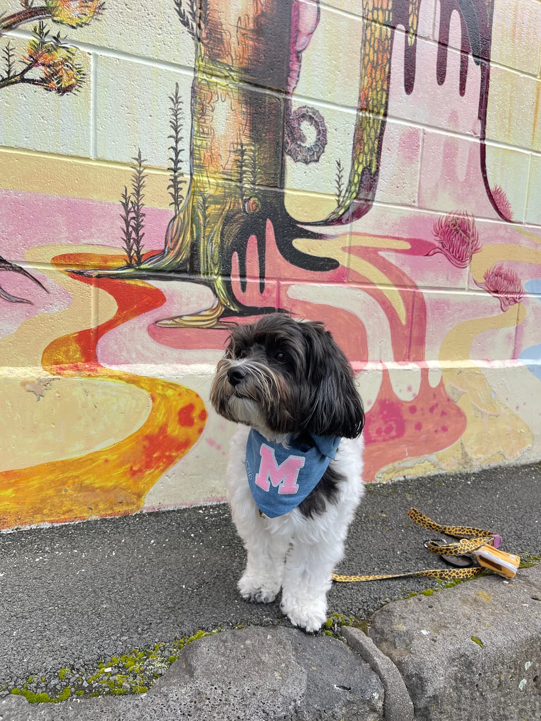 Customer photo review of Bandana - Torrance Pink