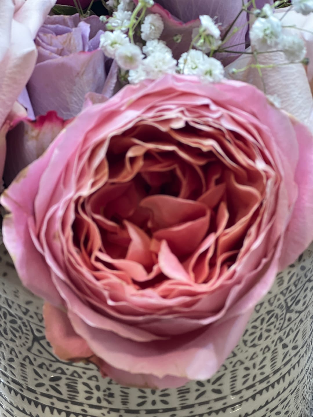 Customer photo review of Romantic Antike | Pink Garden Rose
