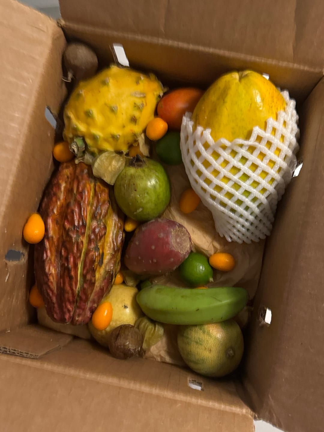 Customer photo review of Florida Residents Club Box