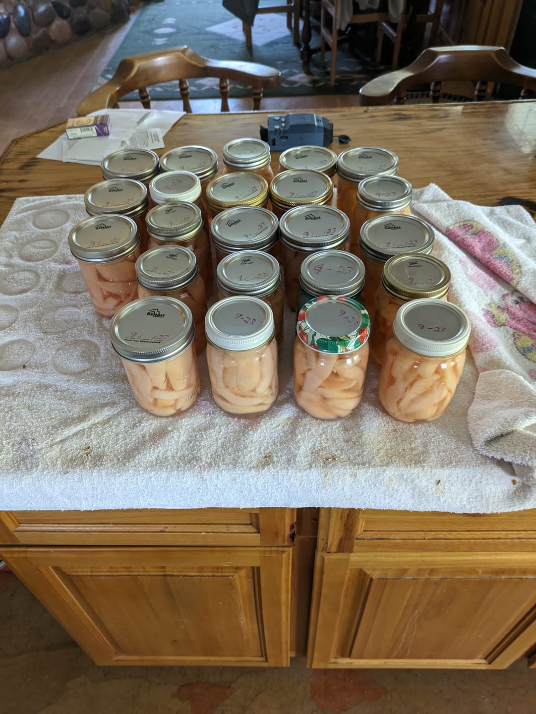 Customer photo review of Wide, (10) Dozen Lids, (2) Dozen Rings