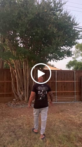 Customer video review of 20% Back