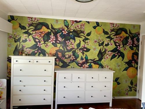 Customer photo review of Grapefruit Mural - Green/Yellow - Custom Sized Wallpaper Mural (per m2)