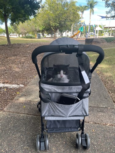Customer photo review of PaWz Large Dog Stroller Cruiser