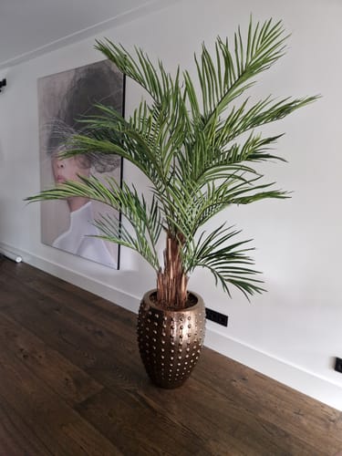 Customer photo review of Kentia Kunstpalm 180cm