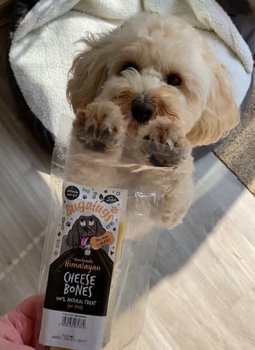 Customer photo review of Handmade Himalayan Cheese Bones 100% Natural Treat for Dogs (MEDIUM)