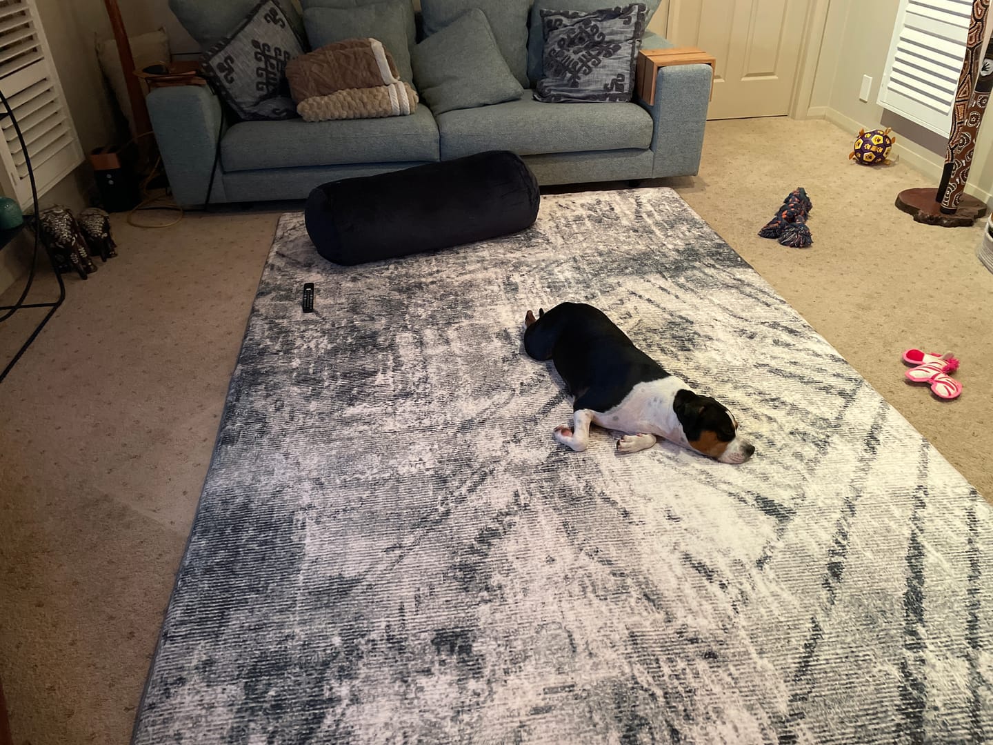 Customer photo review of The Big Soft Pillow