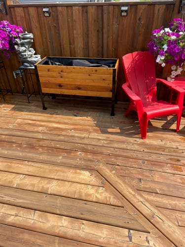 Customer photo review of 18" x 48" Raised Garden Bed