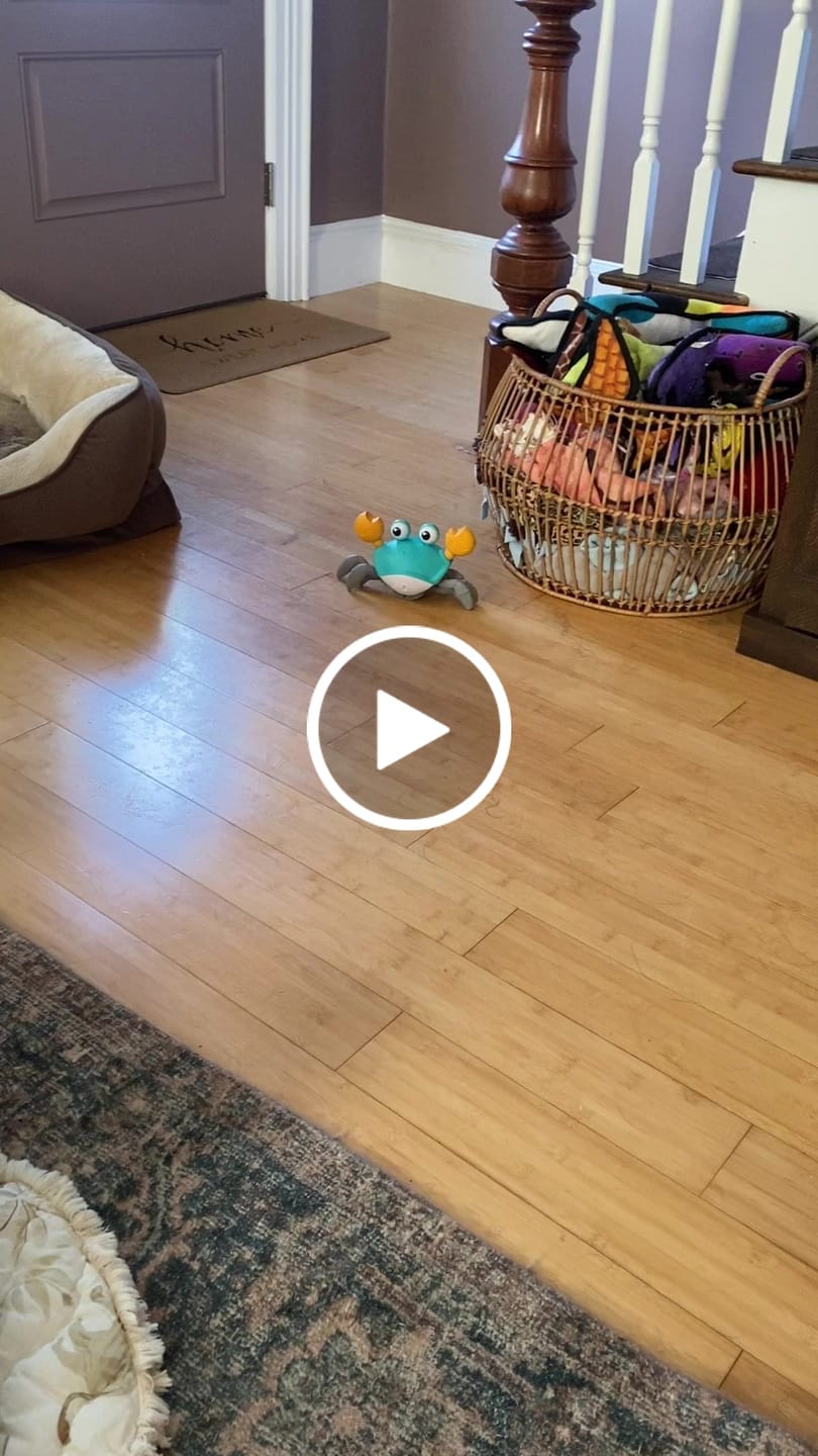 Customer video review of The Crawly Crab™