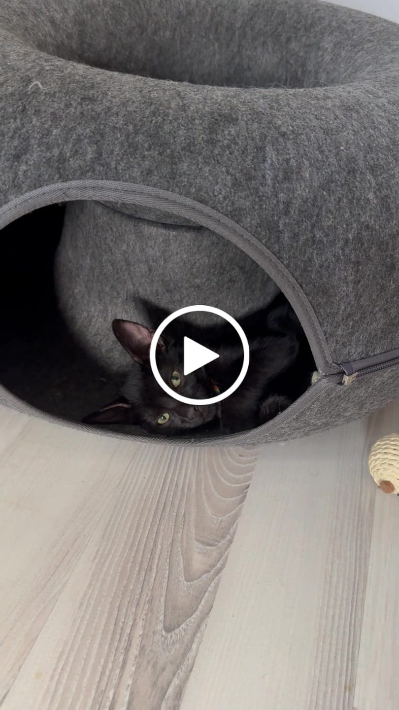 Customer video review of Tunel Krevet za Mačke