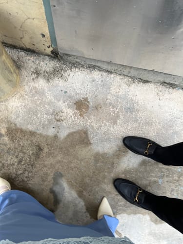 Customer photo review of Horsebit Buckle Loafer - Black Pebble Grain Leather (Flexi-Sole)