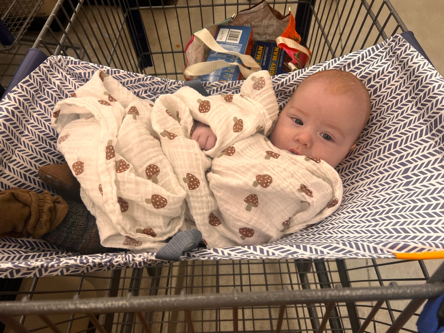 Customer photo review of Baby Shopping Cart Hammock - Blue Little Arrow Design