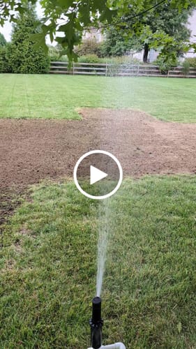 Customer video review of GCI Turf Type Tall fescue Grass Seed