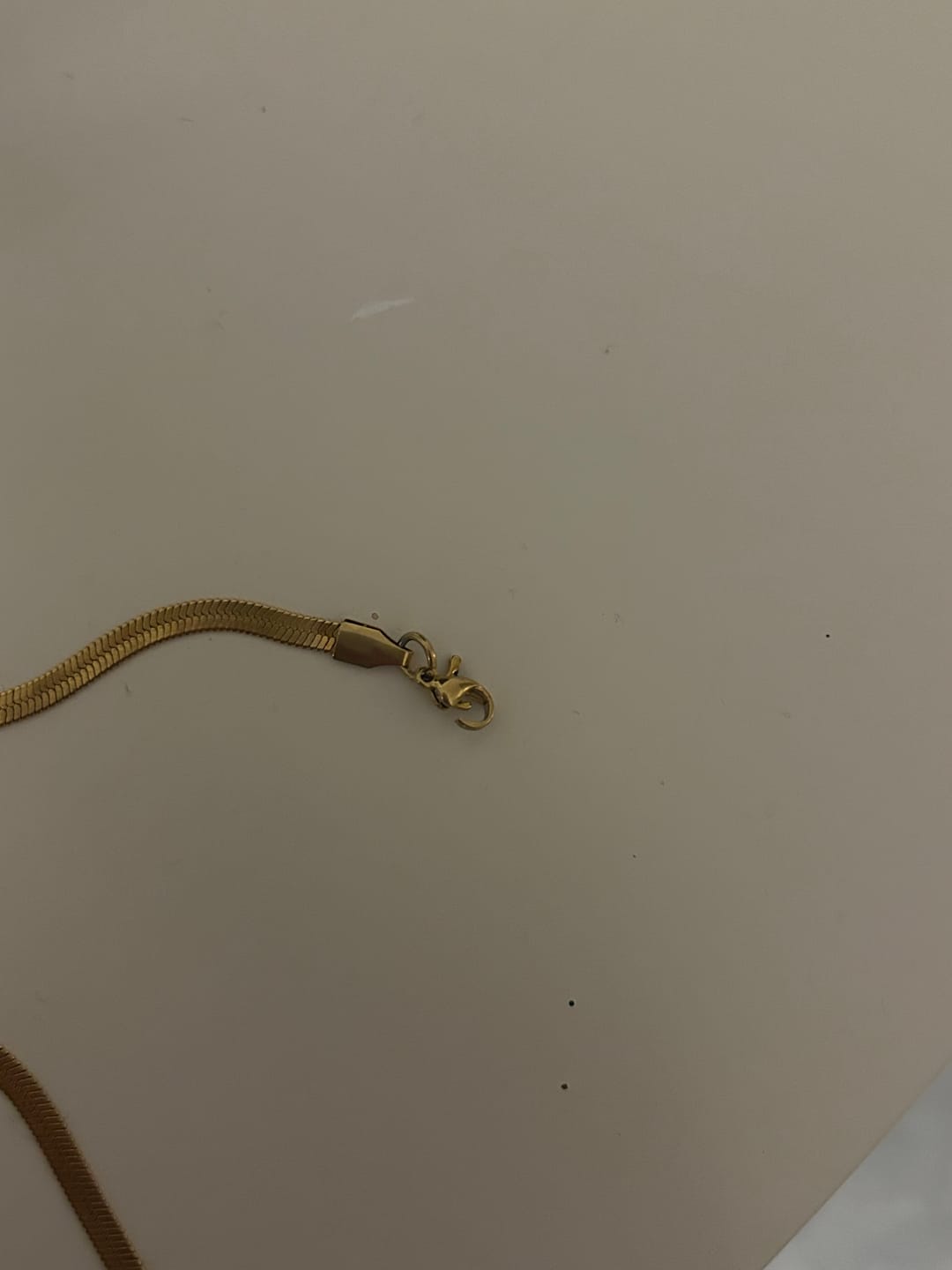 Customer photo review of Ivy - Snake Chain Bracelet Stainless Steel
