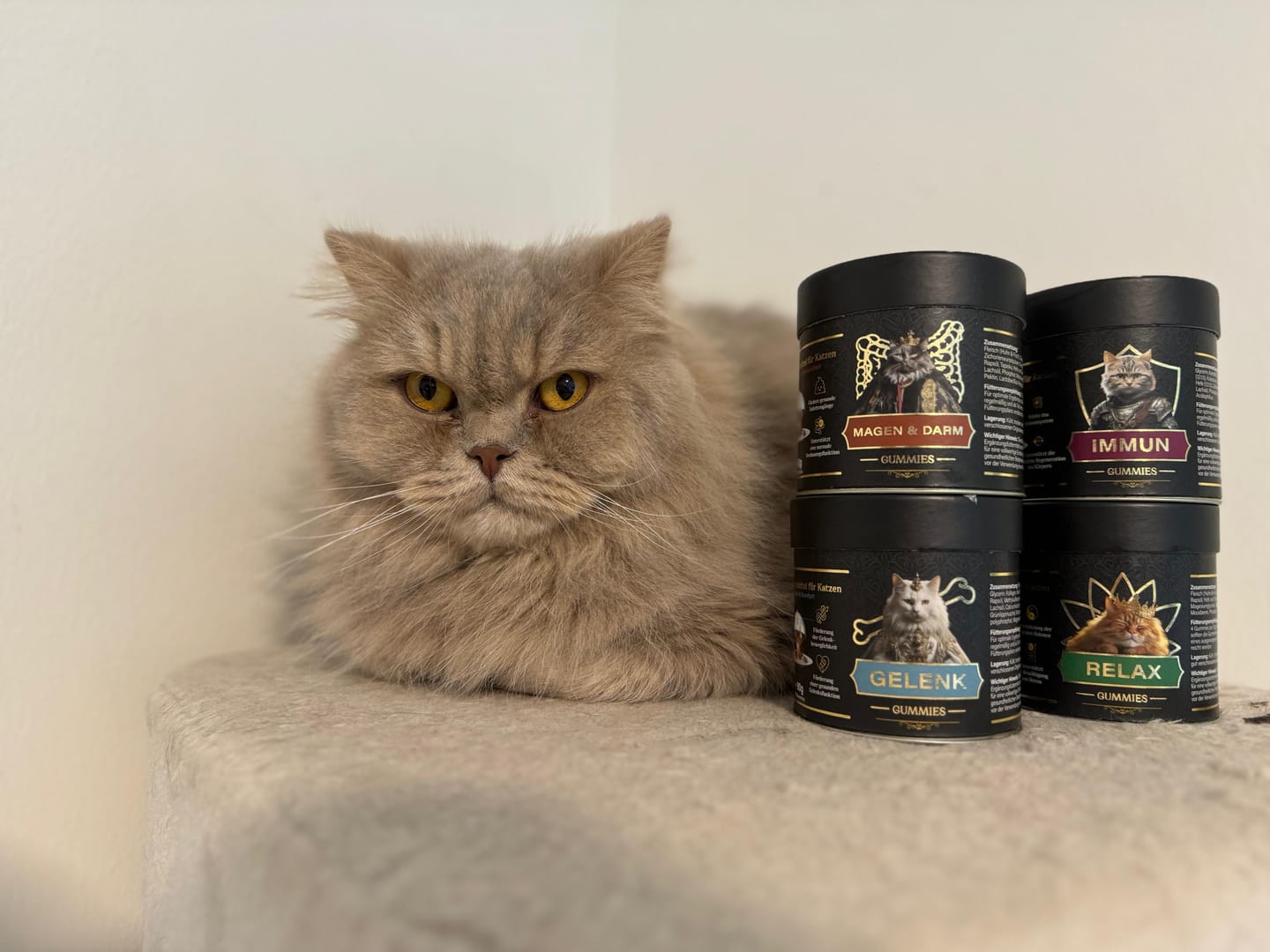 Customer photo review of Magen & Darm Gummies