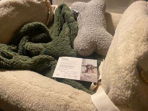 Customer photo review of Hazelnut | The Cosy Car Seat