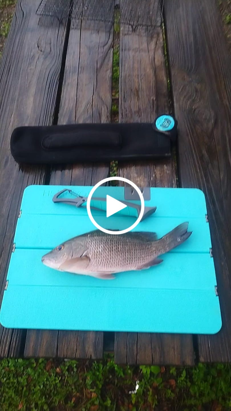 Customer video review of Stowaway Folding Filet Knives
