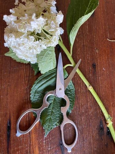 Customer photo review of Professional Stainless Kitchen Shears