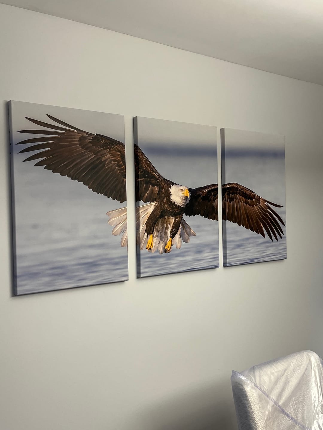 Customer photo review of Bald Eagle Flying Over River №SL1549 Ready to Hang Canvas Print