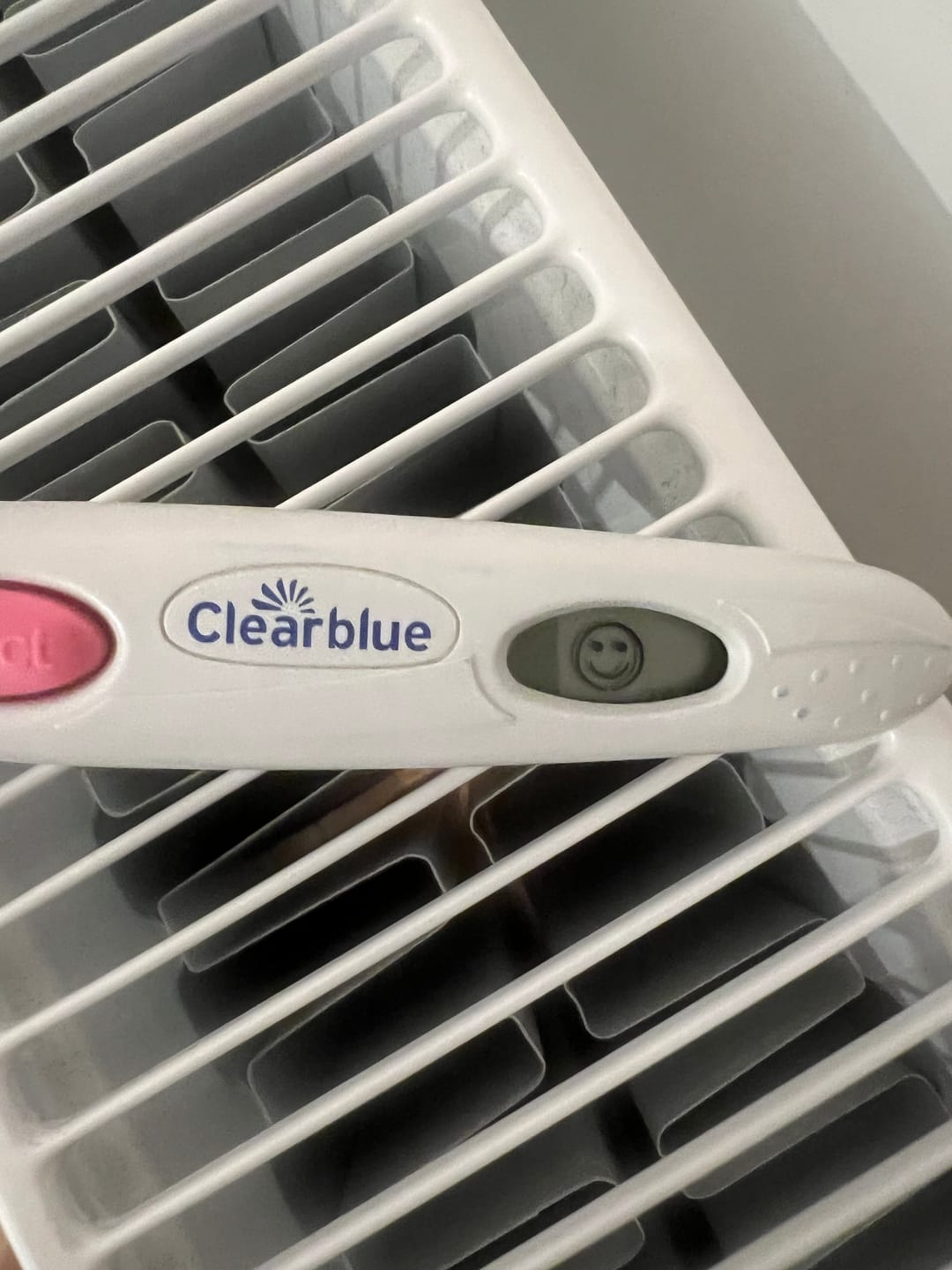 Customer photo review of Fertility Supplement