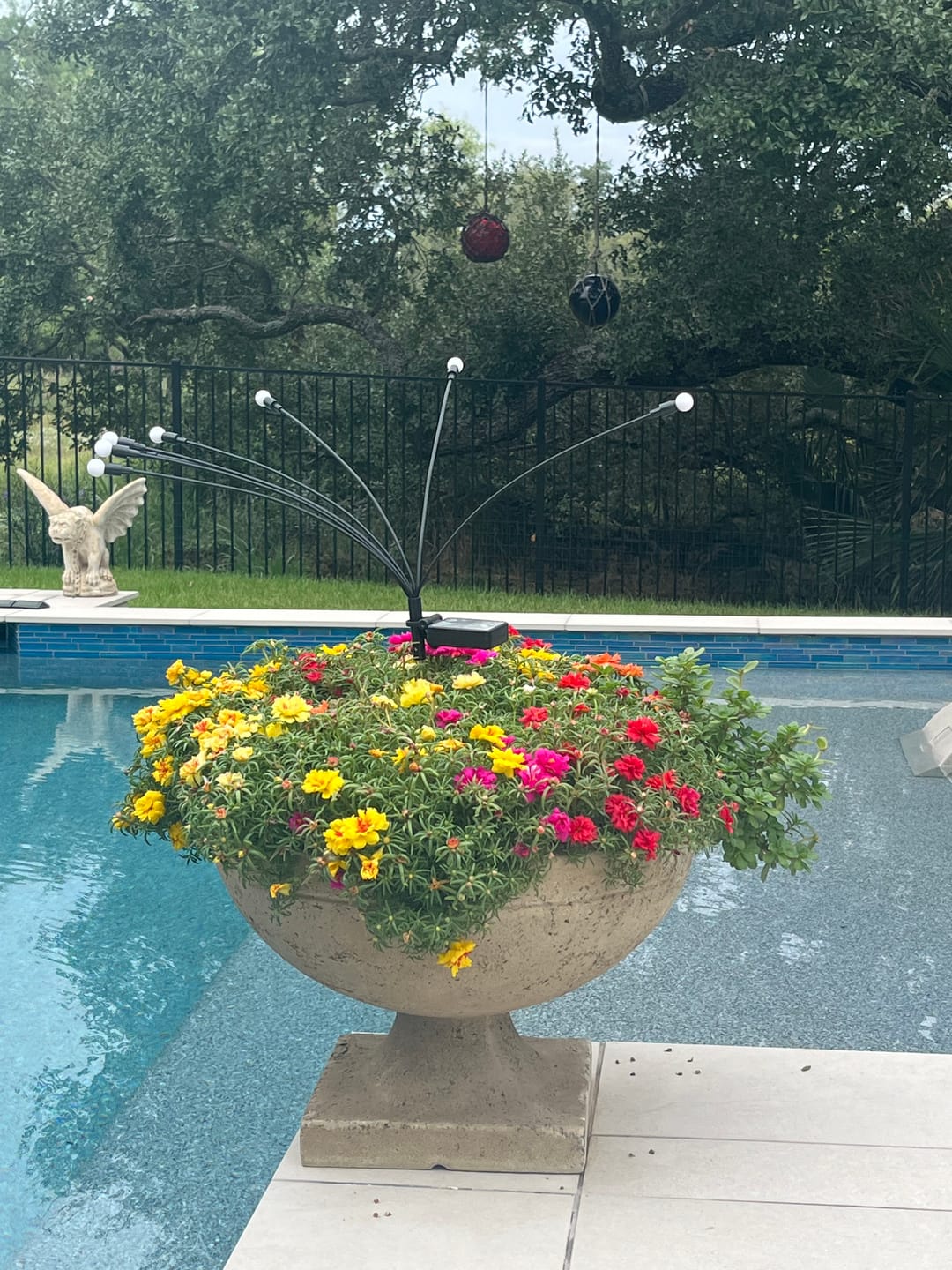 Customer photo review of Glass Floats - Authentic Seaglass Floats