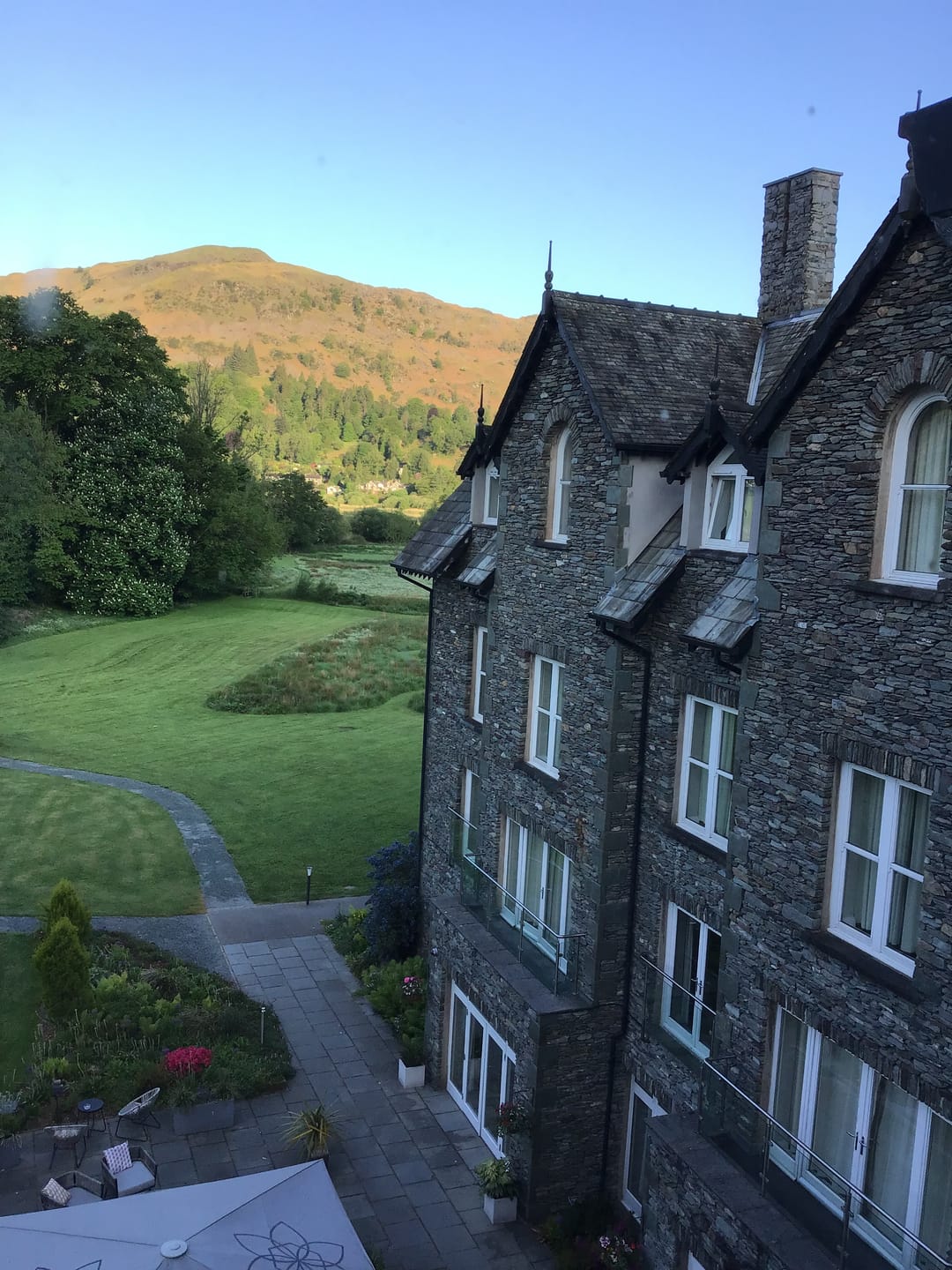 Customer photo review of Total Probiotic Tablets For Dogs