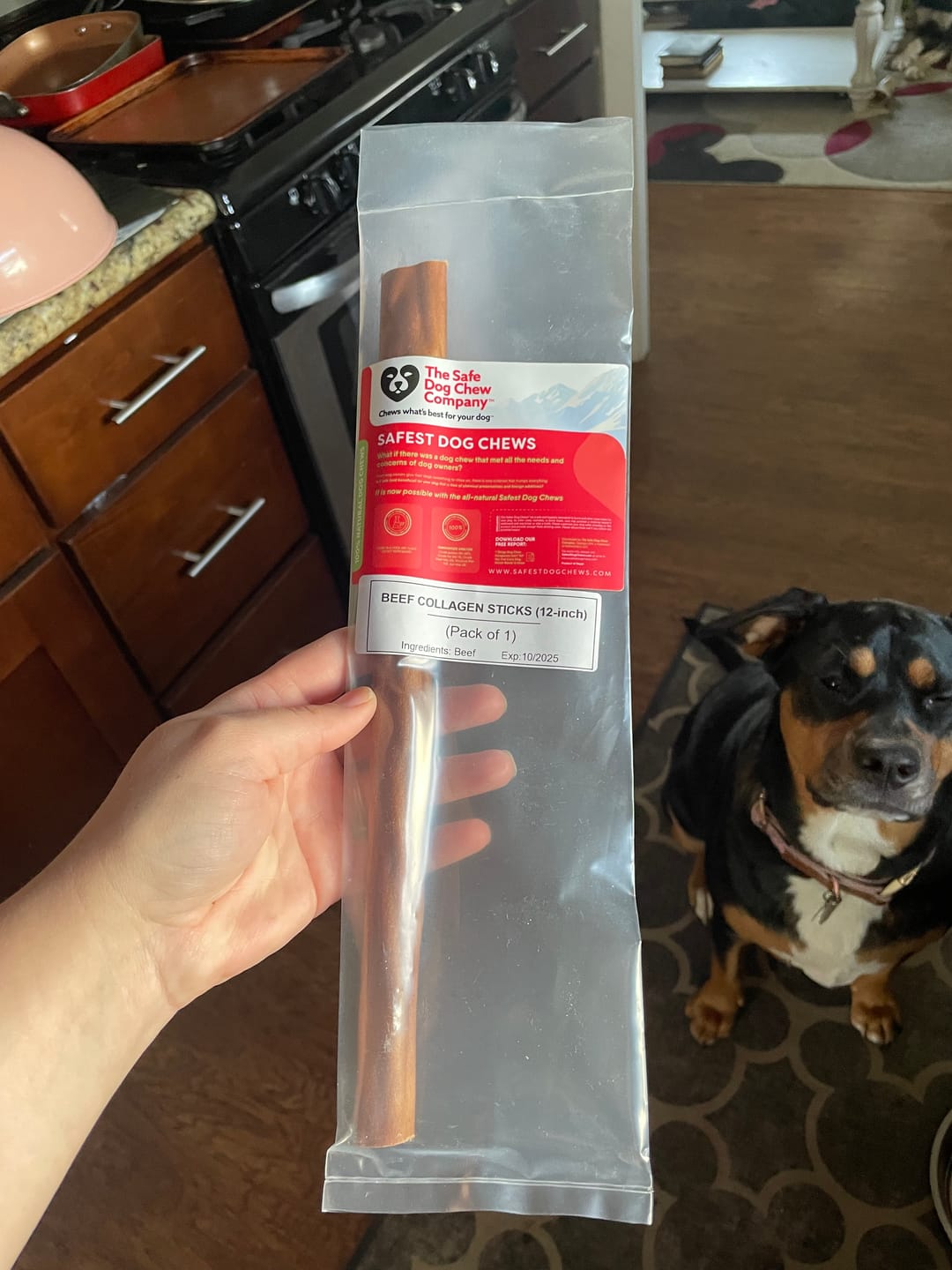 Customer photo review of 6-INCH BRAIDED BULLY STICKS
