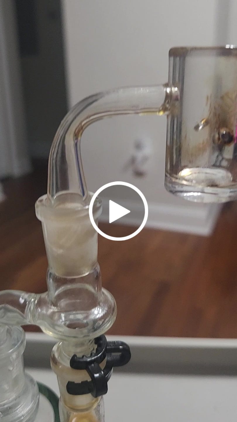 Customer video review of CLASSIC GLASS RECLAIM CATCHER