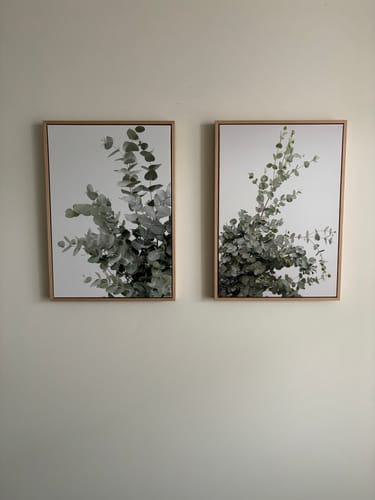 Customer photo review of Fading Eucalyptus Leaves Duo