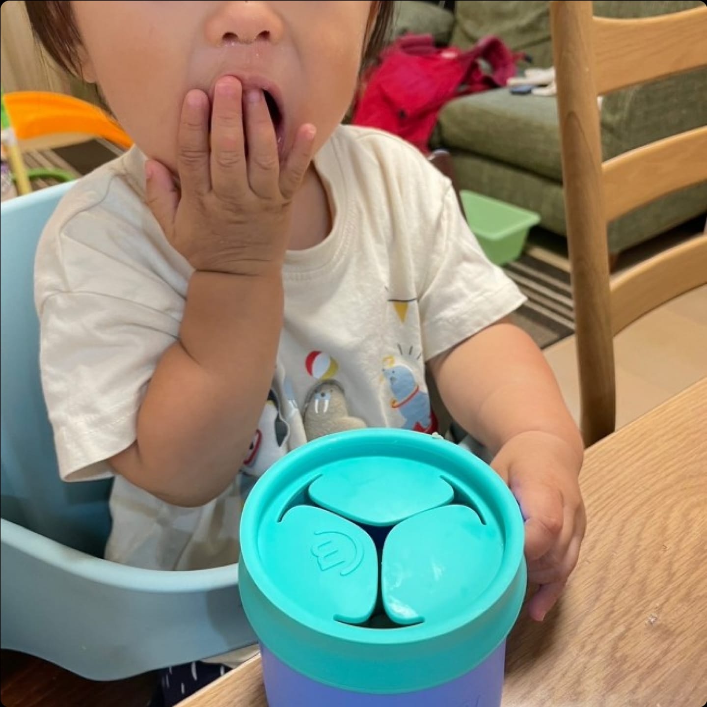 Customer photo review of Snack Pack Bundle