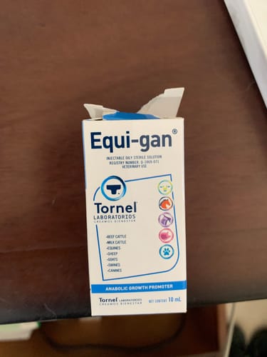 Customer photo review of Equi-gan