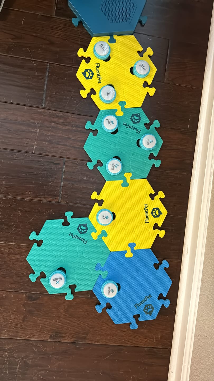 Customer photo review of Connect 6-Button Expansion Kit