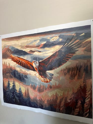 Customer photo review of Paint by Numbers - Eagle flight