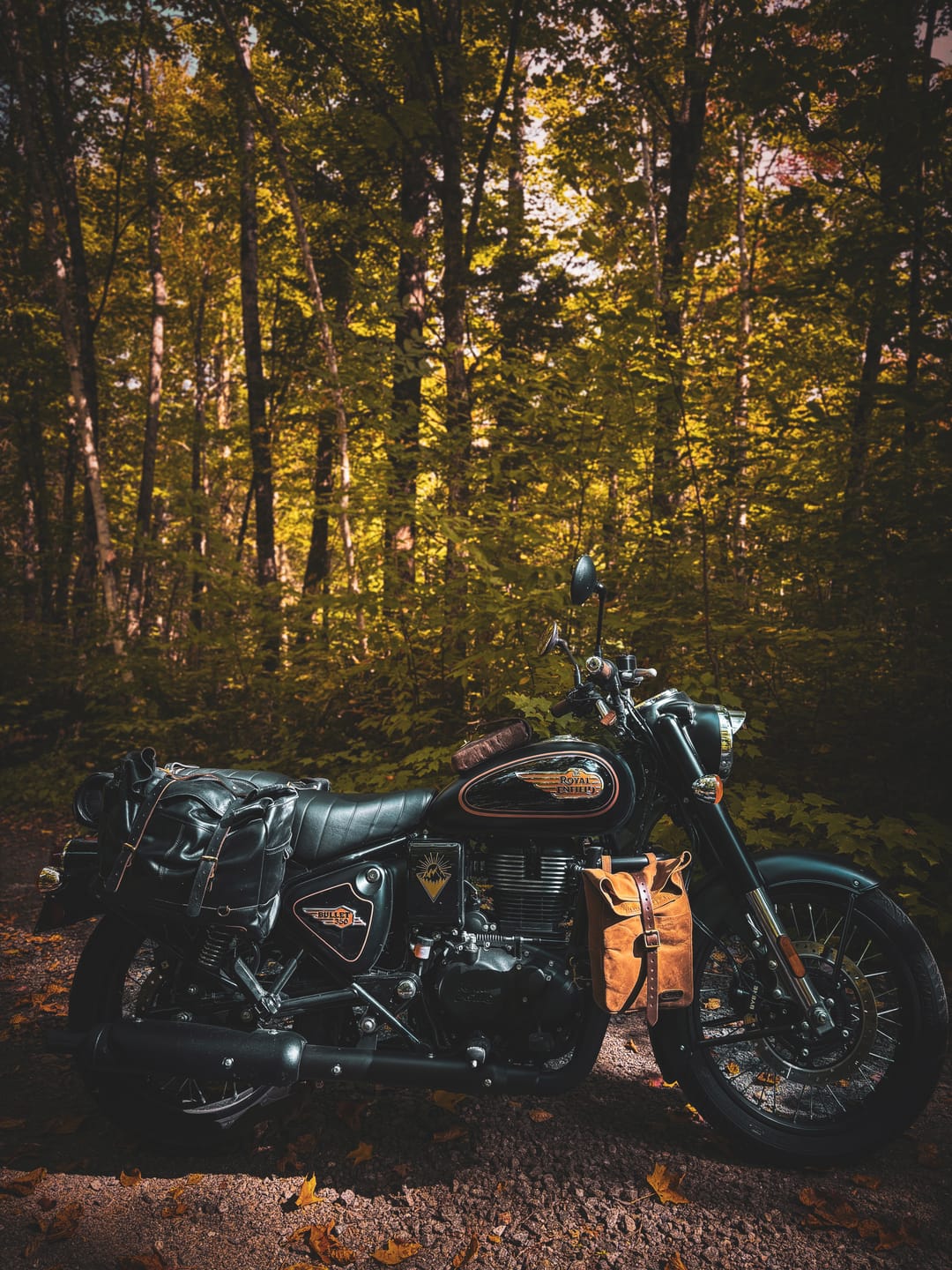 Customer photo review of mini pannier