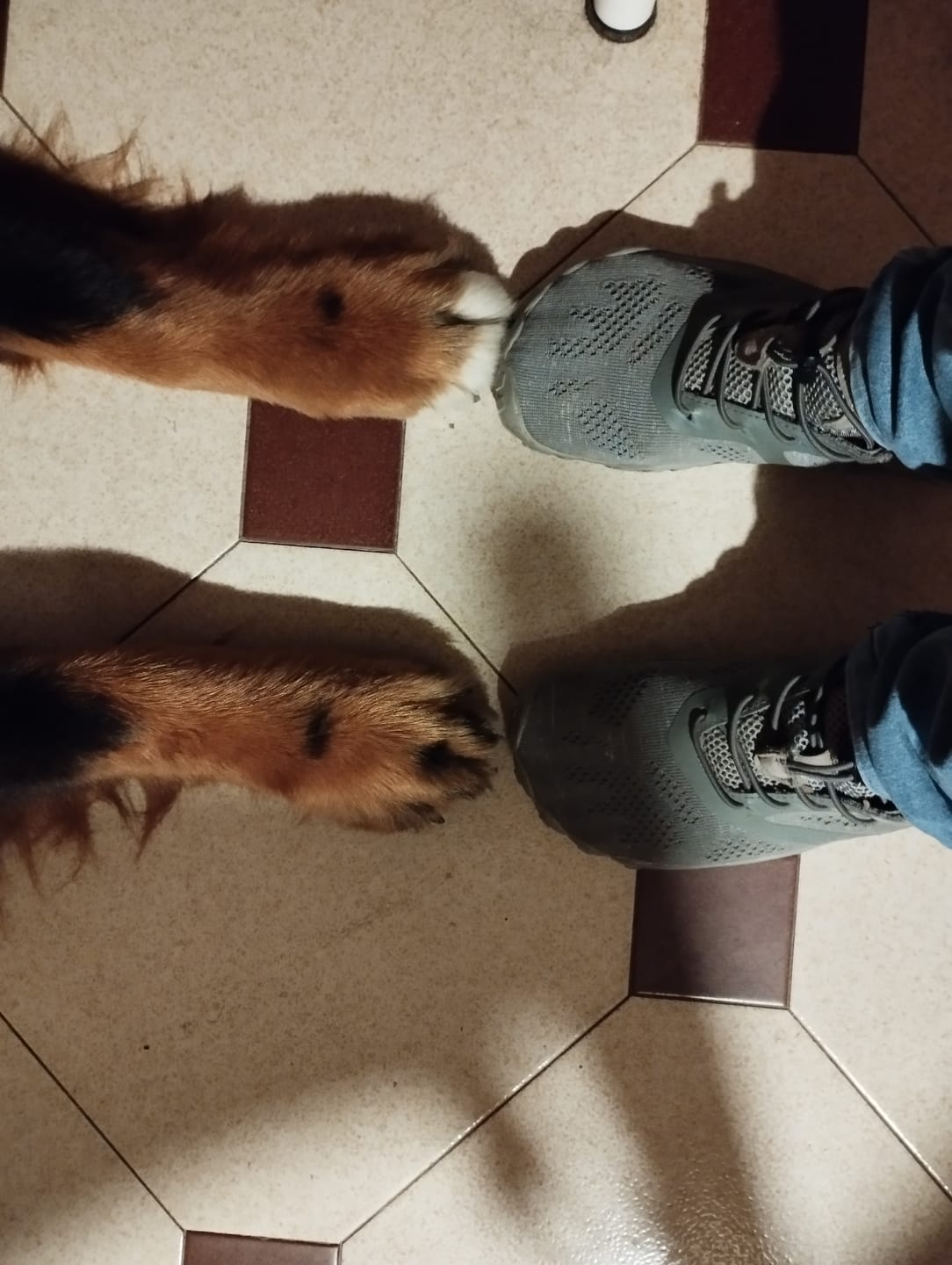 Customer photo review of Smart Ⅰ - Scarpe Barefoot
