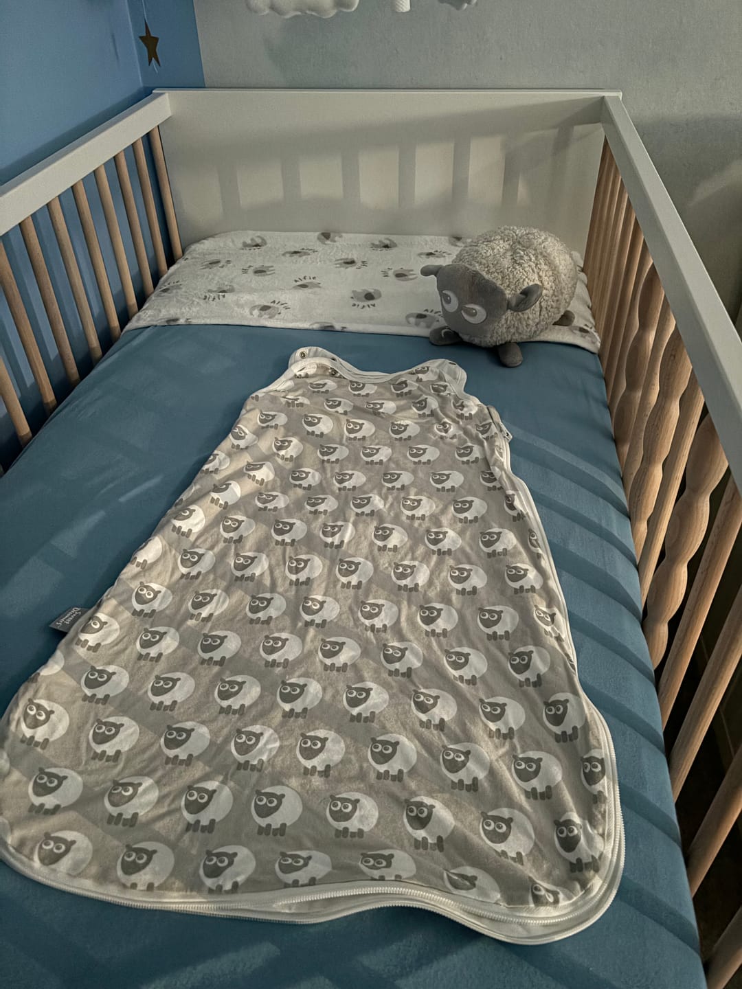 Customer photo review of sheeping bag | Baby Sleeping Bag | grey