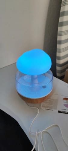 Customer photo review of Mushroom Rain Cloud Humidifier Colorful Raindrop