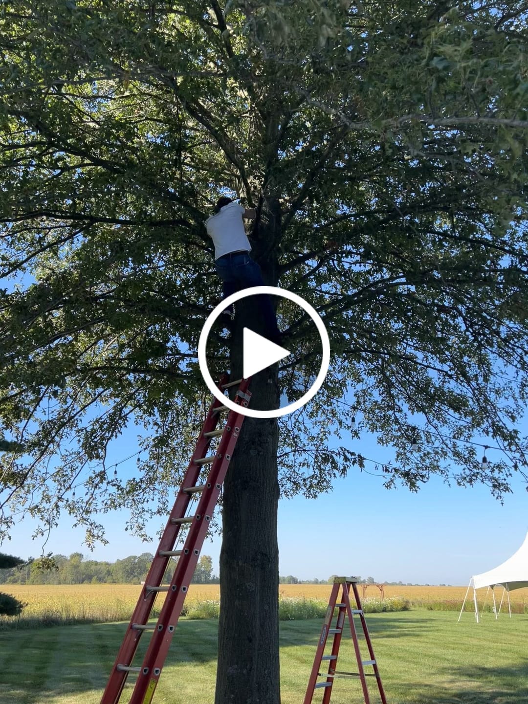 Customer video review of 26" Gold Foil Cut-Out Paper Star Lantern, Hanging Wedding & Party Decoration