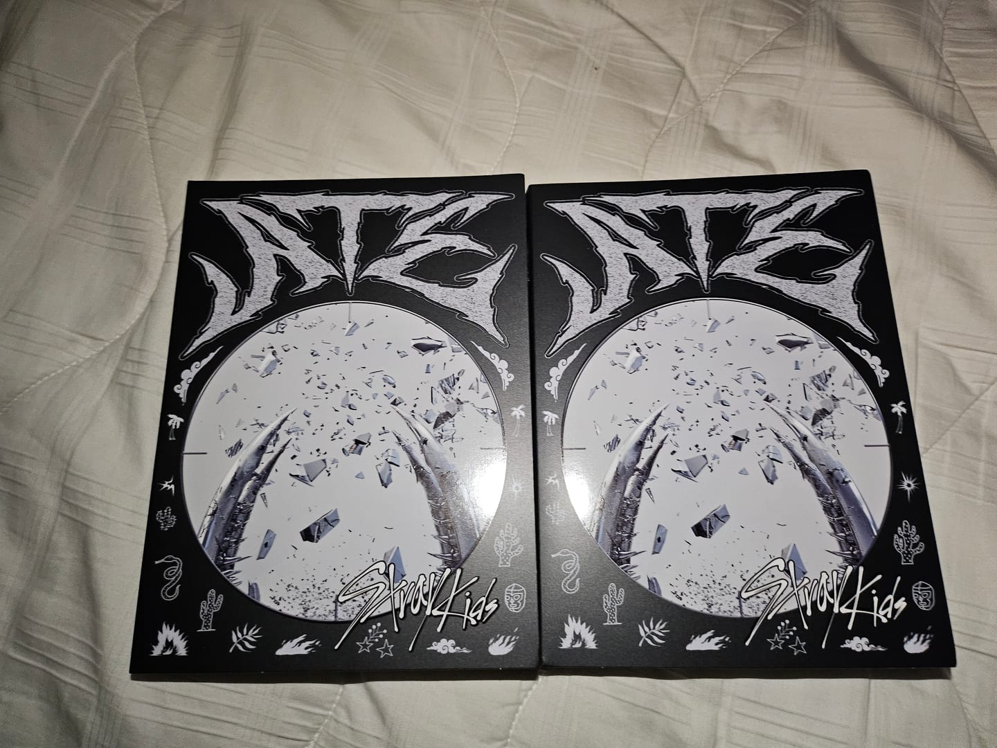 Customer photo review of Stray Kids - 9th Mini Album ATE