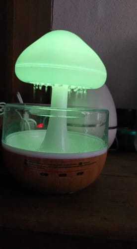 Customer photo review of Mushroom Rain Cloud Humidifier Colorful Raindrop