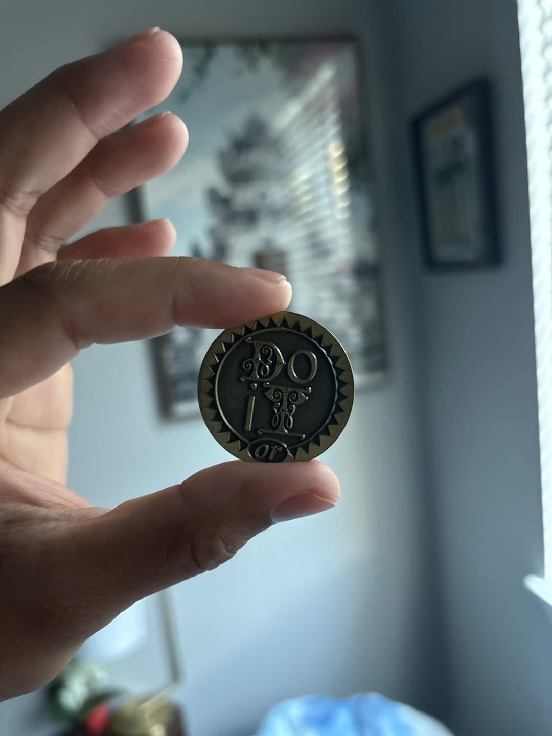 Customer photo review of Do It or Screw It AA/NA Sober Recovery Medallion - Bronze