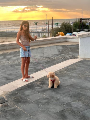 Customer photo review of Trasportino Cotone Urban Little Nautical Stripe