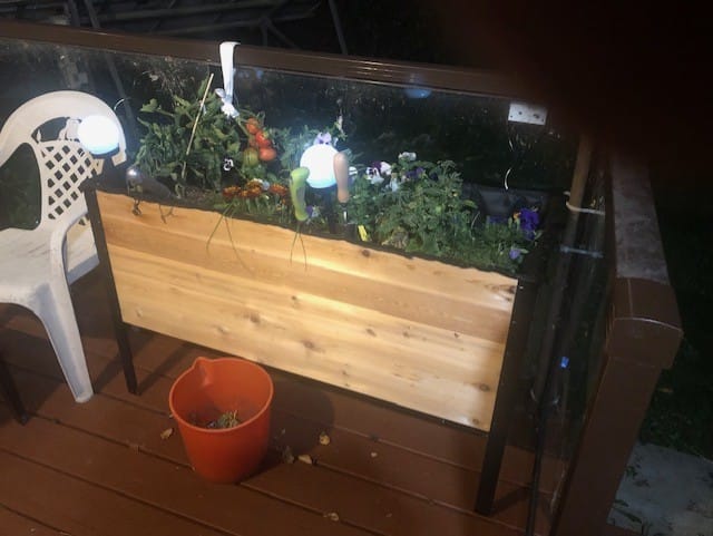 Customer photo review of Raised Garden Bed - 46cm x 122cm x 76cm