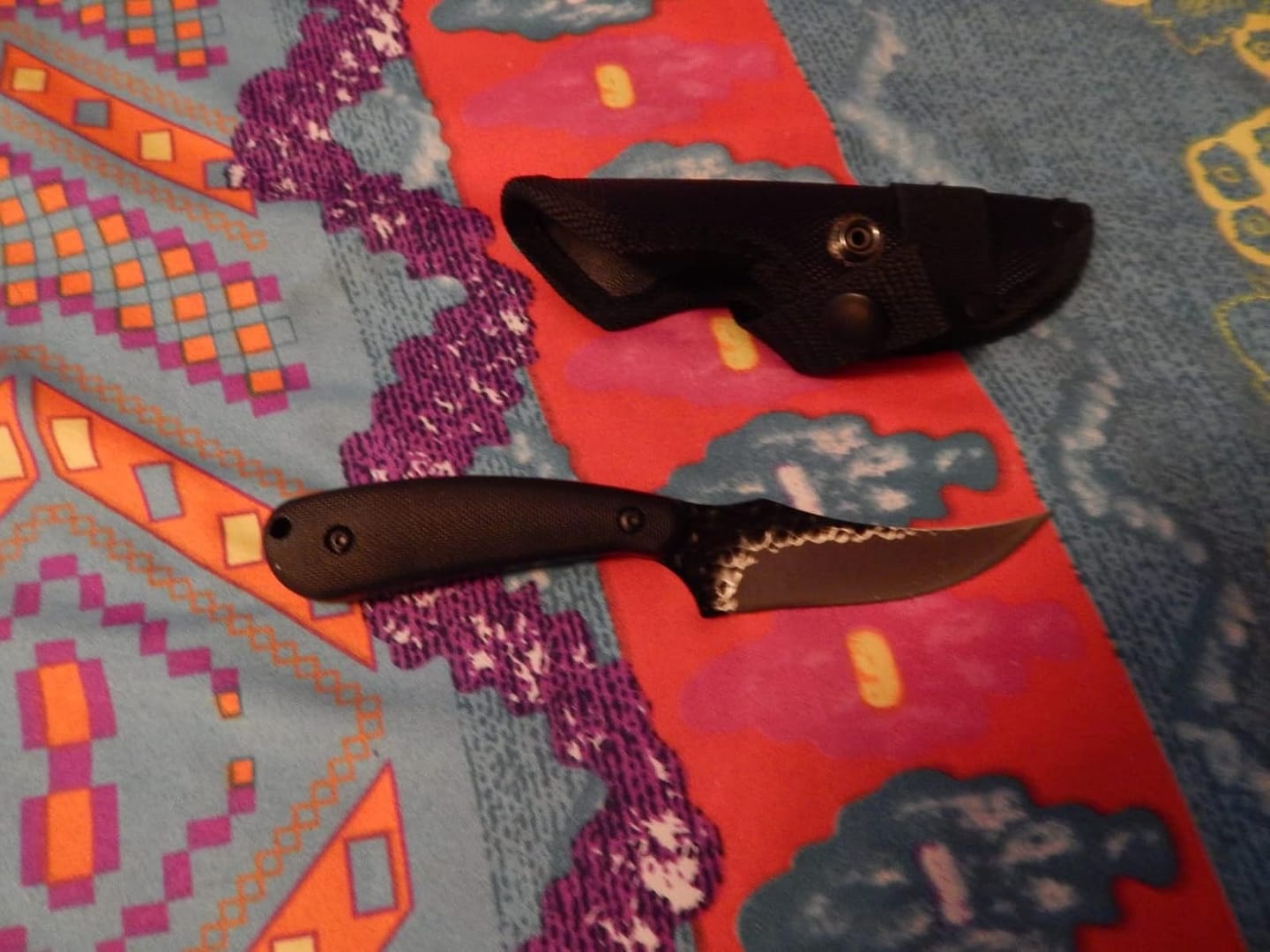 Customer photo review of Scorpion