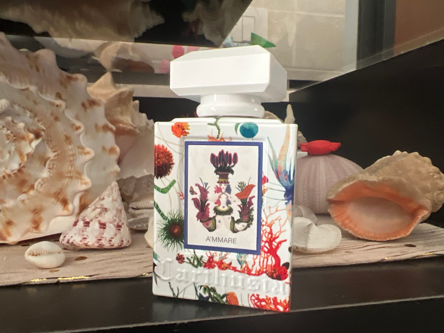 Customer photo review of CARTHUSIA - A'MMARE