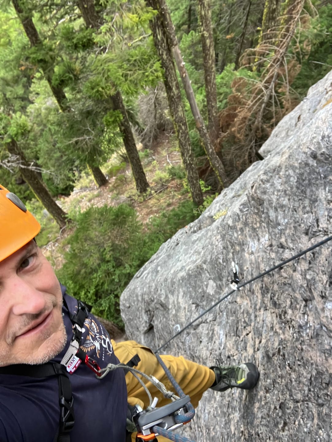 Customer photo review of "Soft-Cinch" - Lead Rope Solo Backfeed Preventer (5 Pack)