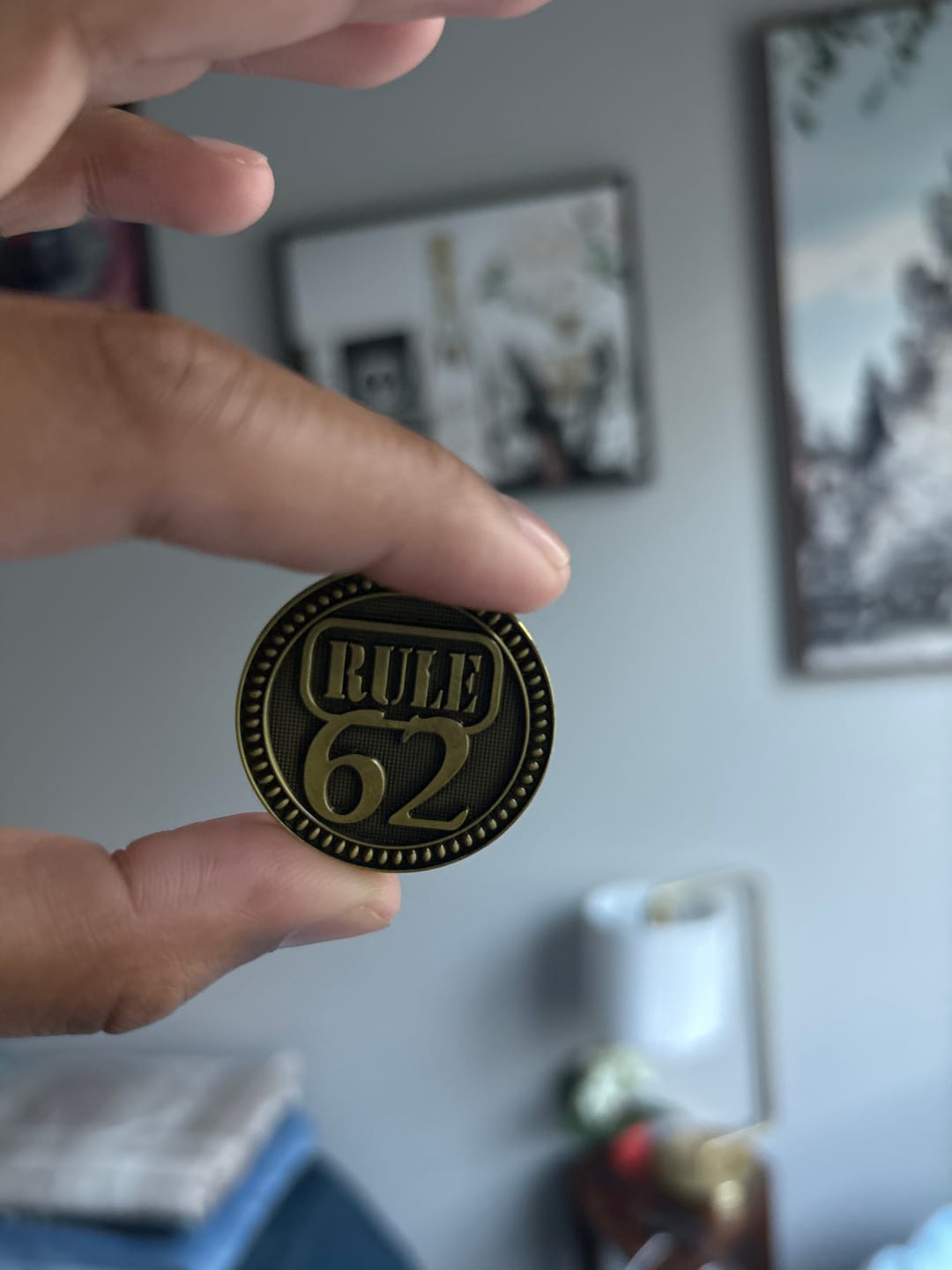 Customer photo review of Rule 62 AA/NA Bronze Recovery Medallion
